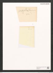 Pleurosigma sp. (de-Toni-Nr.: Genus 13) Zeichnungen Sammlung Grunow (NHMW-BOT-W0369179)